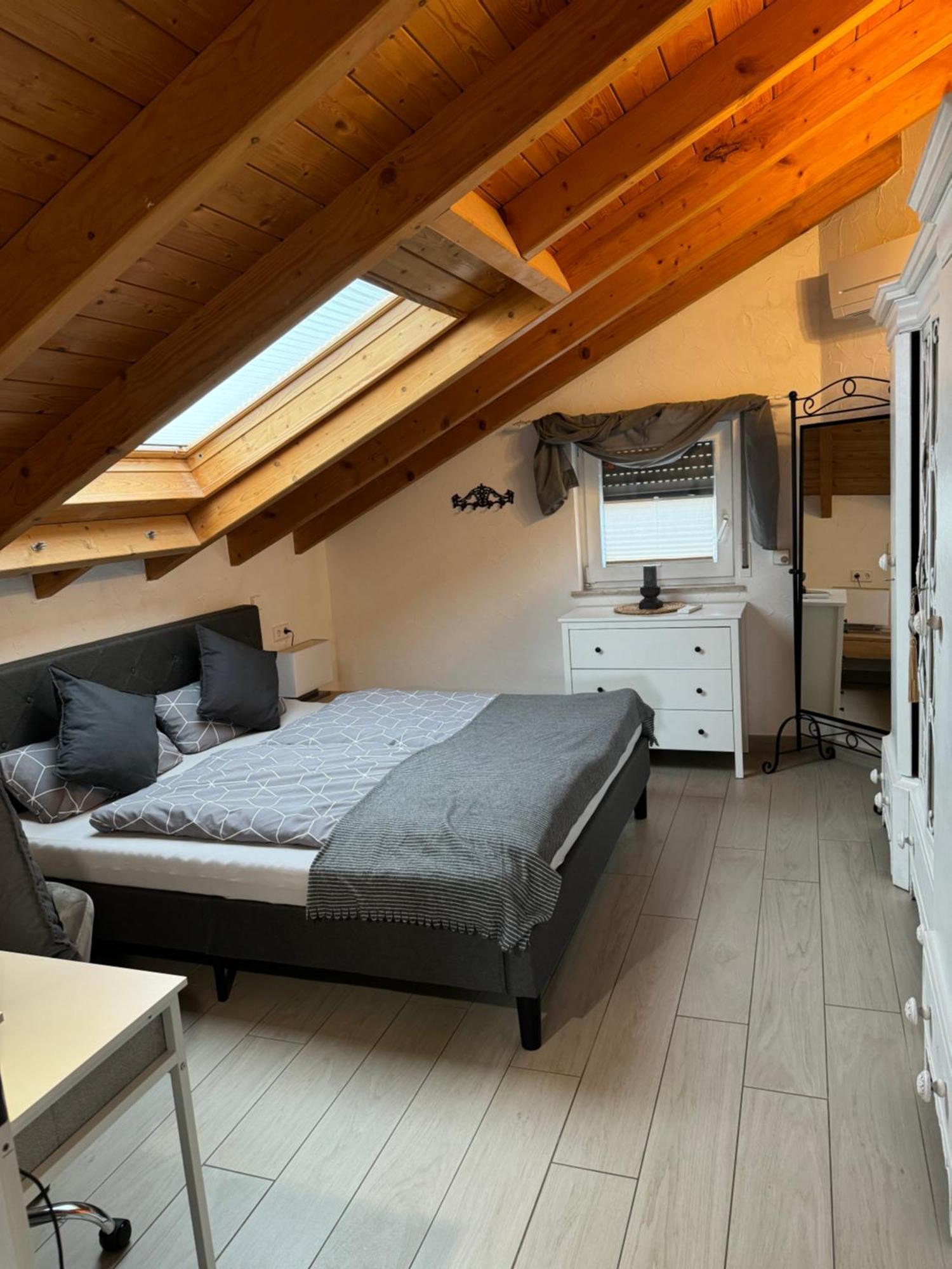 Spacy 3 Bedroom Plus Sleeping Couch Apartment Work&Travel Close To Heidelberg Dielheim Eksteriør bilde