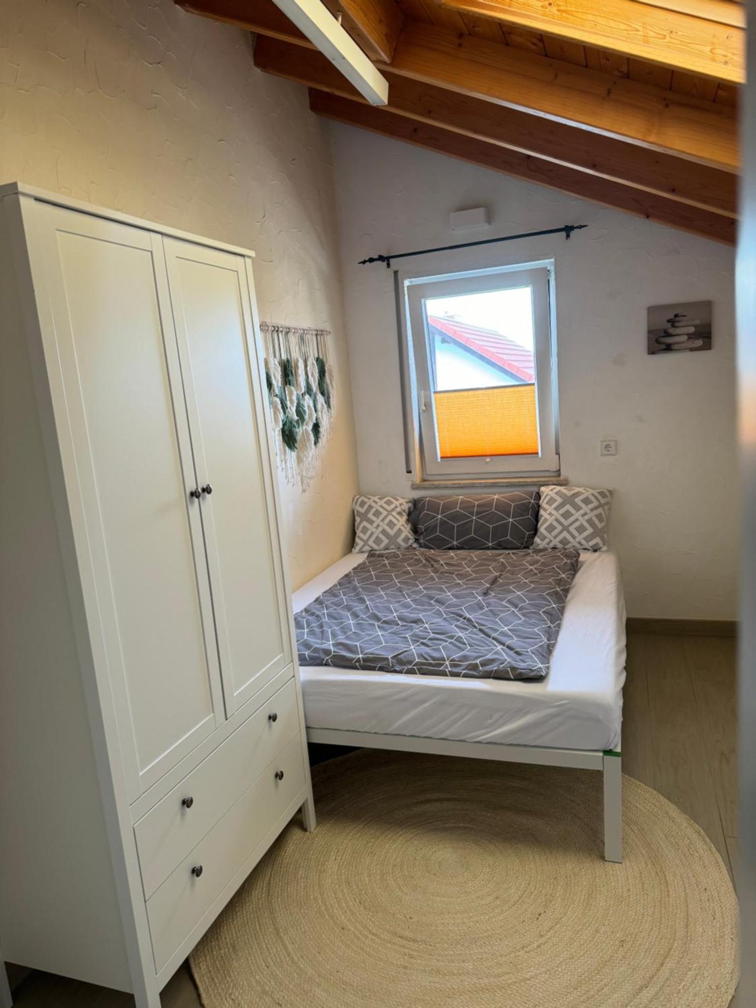 Spacy 3 Bedroom Plus Sleeping Couch Apartment Work&Travel Close To Heidelberg Dielheim Eksteriør bilde